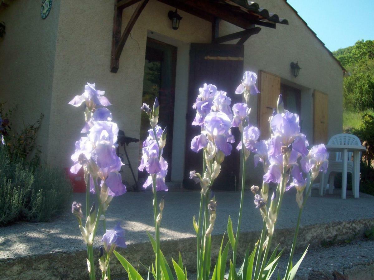 Gite Les Iris La Robine-Sur-Galabre Exteriör bild